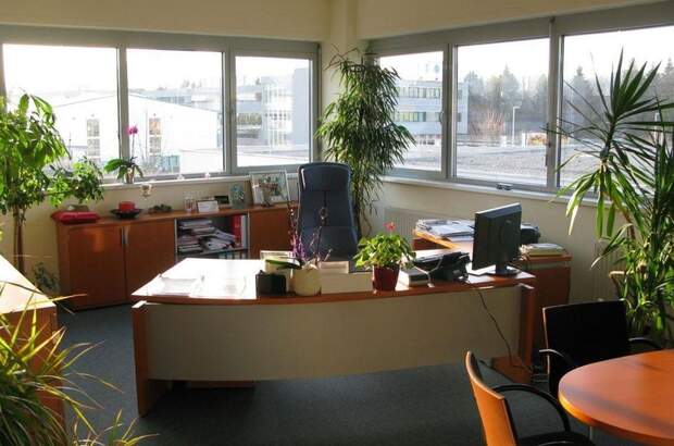 Gewerbeobjekt kaufen in 5073 Wals (Bild 2)