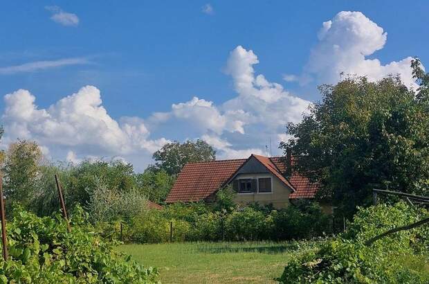 Haus kaufen in 7585 Háromfa (Bild 5)