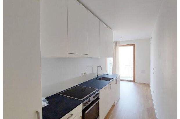 Terrassenwohnung mieten in 1100 Wien (Bild 3)