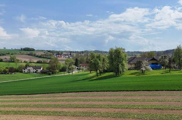 Grundstück kaufen in 4209 Engerwitzdorf (Bild 1)