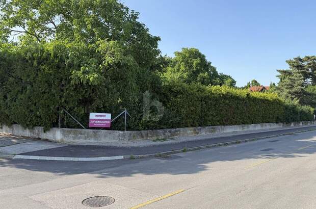 Grundstück kaufen in 7072 Mörbisch (Bild 1)