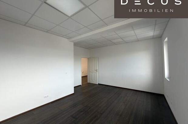 Büro / Praxis mieten in 3462 Absdorf (Bild 3)