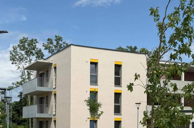 Terrassenwohnung mieten in 2700 Wr. Neustadt (Bild 3)