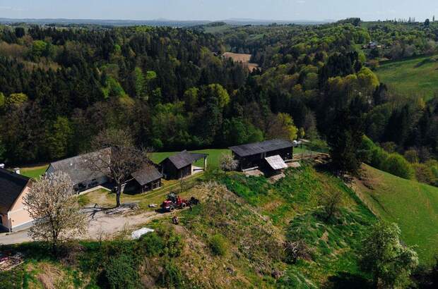 Haus kaufen in 8462 Gamlitz (Bild 5)