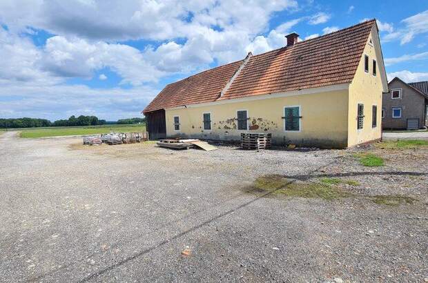 Bauernhaus kaufen in 8472 Straß (Bild 5)