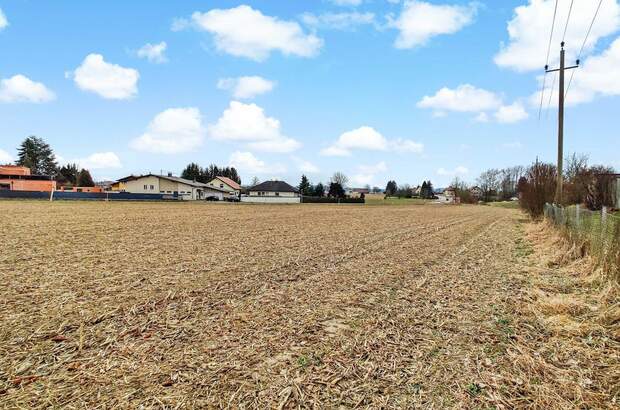 Grundstück mieten in 4975 Suben (Bild 3)