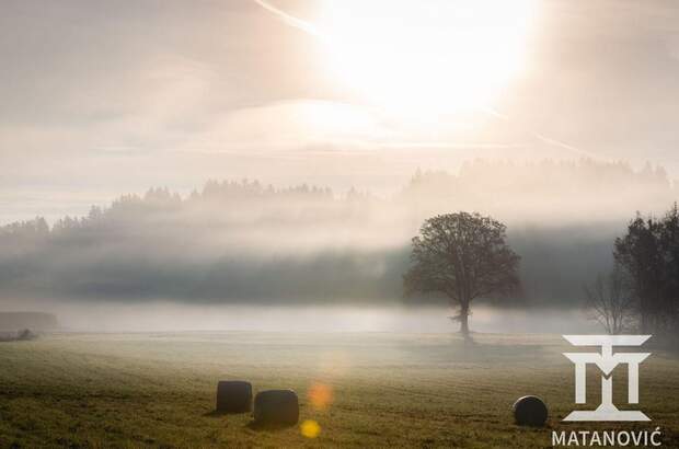 Gewerbeobjekt kaufen in 9062 Tigring (Bild 2)