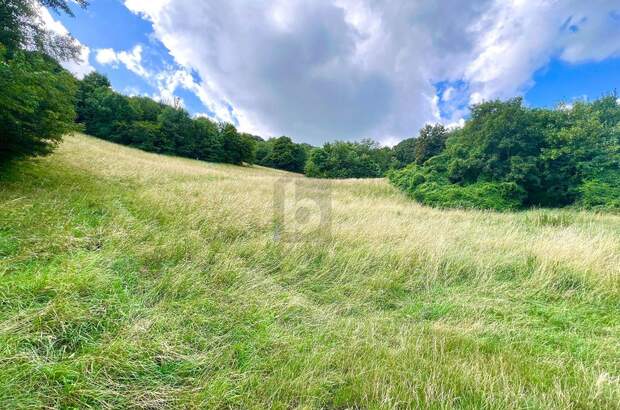 Gewerbeobjekt kaufen in 3400 Klosterneuburg (Bild 1)