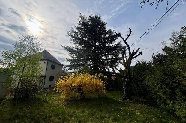 Wohnung kaufen in 8055 Graz (Bild 3)