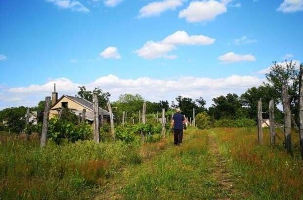 Haus kaufen in 7570 Barcs (Bild 2)
