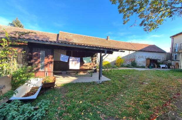 Mehrfamilienhaus kaufen in 2304 Orth (Bild 4)