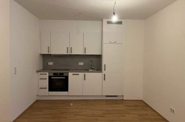 Terrassenwohnung mieten in 1160 Wien (Bild 2)