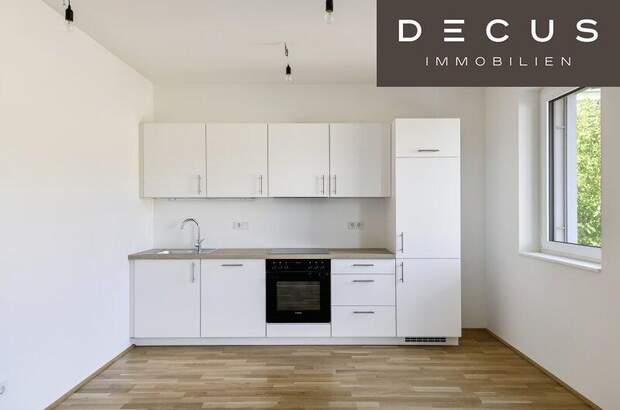 Terrassenwohnung mieten in 2345 Brunn (Bild 5)