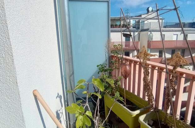 Wohnung mit Balkon mieten in 1110 Wien (Bild 4)