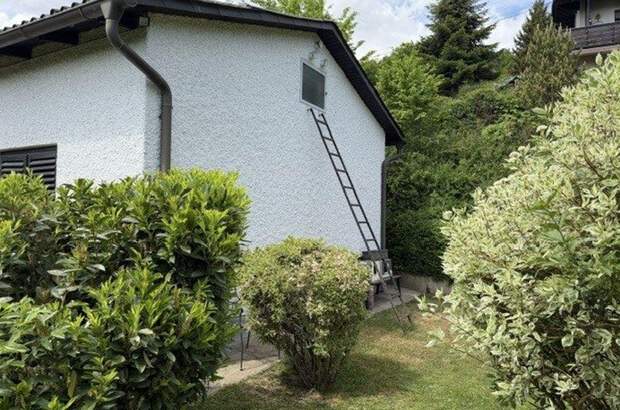 Anlageobjekt kaufen in 4224 Obervisnitz (Bild 3)
