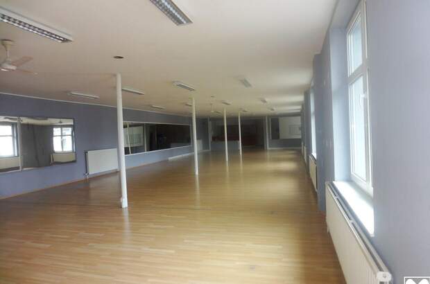 Gewerbeobjekt mieten in 7083 Purbach (Bild 2)