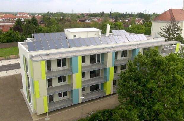 Terrassenwohnung mieten in 2482 Münchendorf (Bild 1)