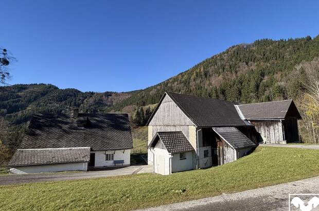 Haus kaufen in 3334 Gaflenz (Bild 1)