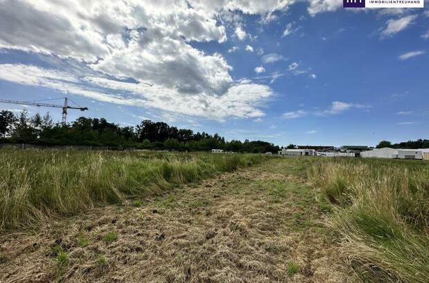 Grundstück kaufen in 8141 Unterpremstätten (Bild 3)