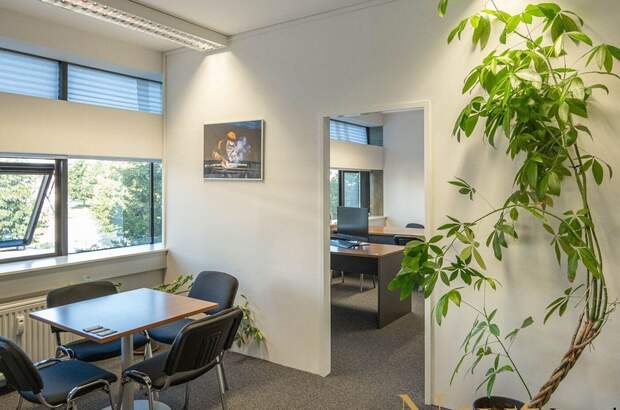Gewerbeobjekt mieten in 4600 Wels (Bild 3)