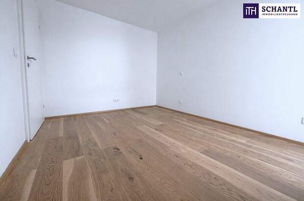 Terrassenwohnung kaufen in 2514 Traiskirchen (Bild 3)