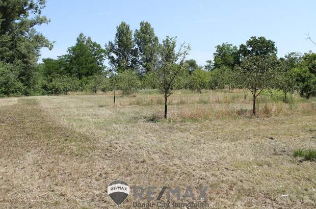 Grundstück kaufen in 2011 Sierndorf (Bild 1)