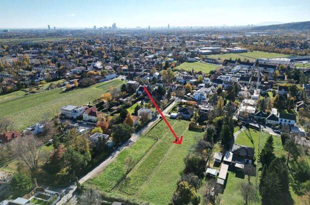 Grundstück kaufen in 2103 Langenzersdorf (Bild 1)