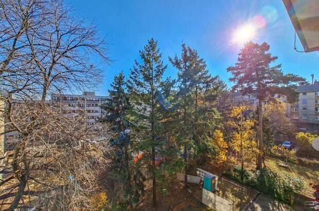 Wohnung mit Balkon kaufen in 1160 Wien (Bild 4)