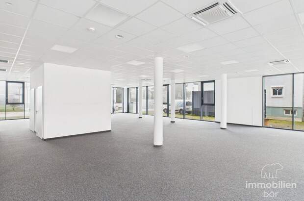 Gewerbeobjekt mieten in 4061 Pasching (Bild 3)