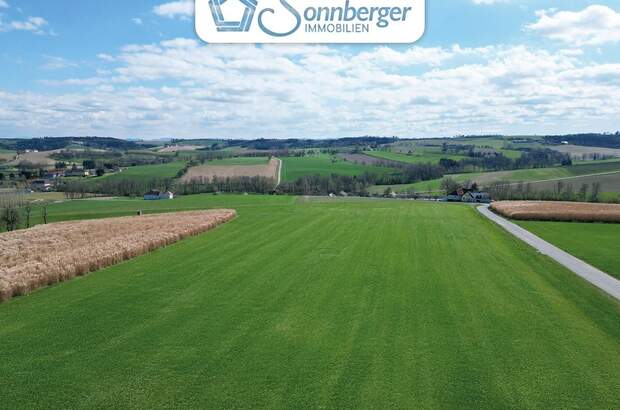 Haus kaufen in 3314 Strengberg (Bild 4)