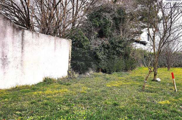 Grundstück kaufen in 2283 Obersiebenbrunn (Bild 4)