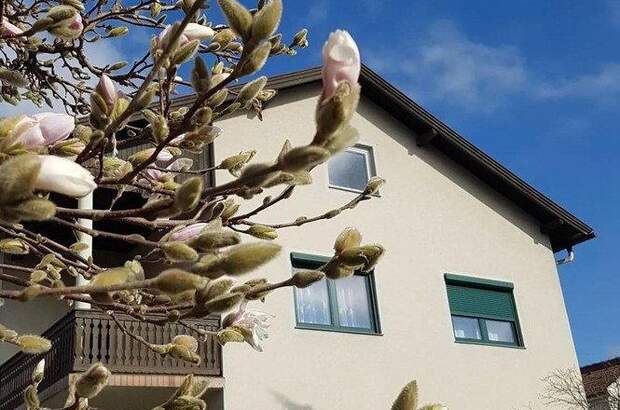 Einfamilienhaus kaufen in 7423 Pinkafeld (Bild 3)