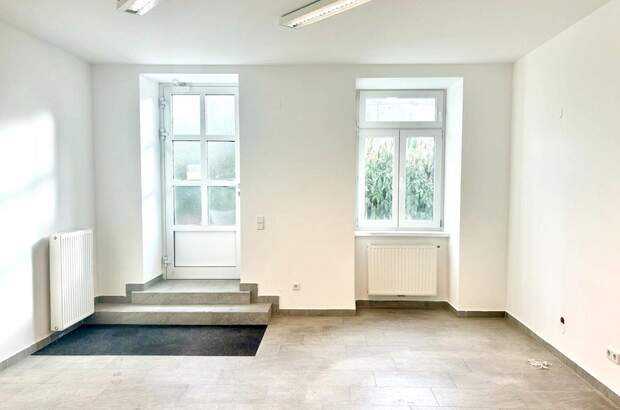 Gewerbeobjekt mieten in 1190 Wien (Bild 2)