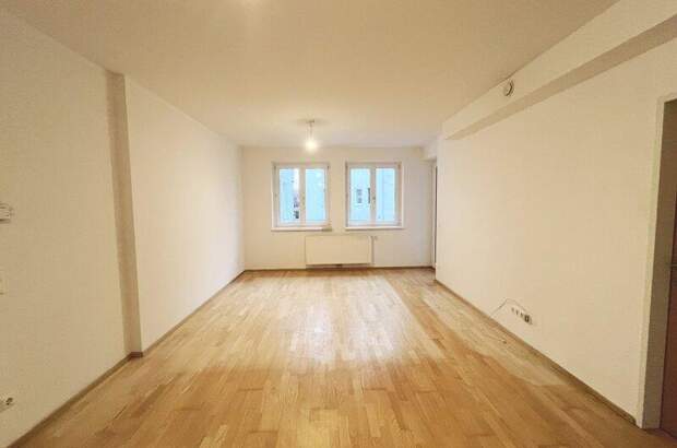 Terrassenwohnung mieten in 3140 Pottenbrunn (Bild 1)