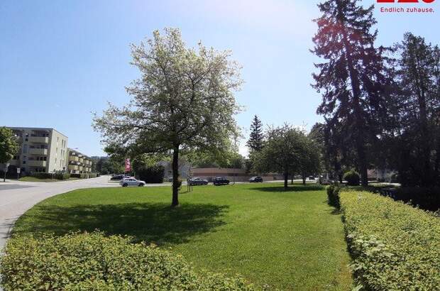 Wohnung mieten in 4400 Steyr (Bild 5)