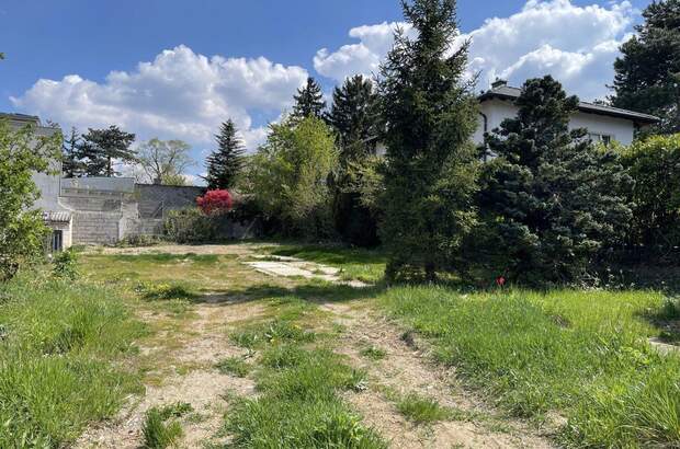 Grundstück kaufen in 2380 Perchtoldsdorf (Bild 2)