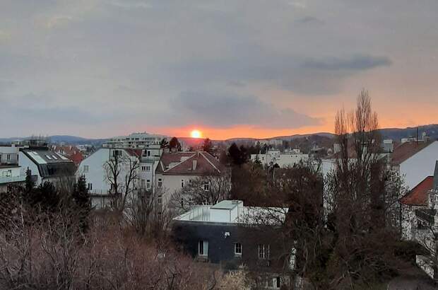 Altbauwohnung mieten in 1190 Wien (Bild 2)