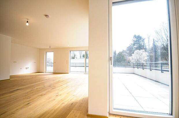 Terrassenwohnung kaufen in 1190 Wien (Bild 5)