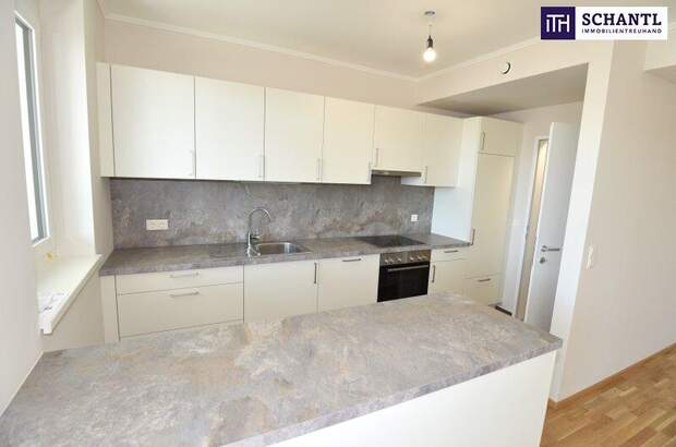 Terrassenwohnung mieten in 2320 Schwechat (Bild 4)