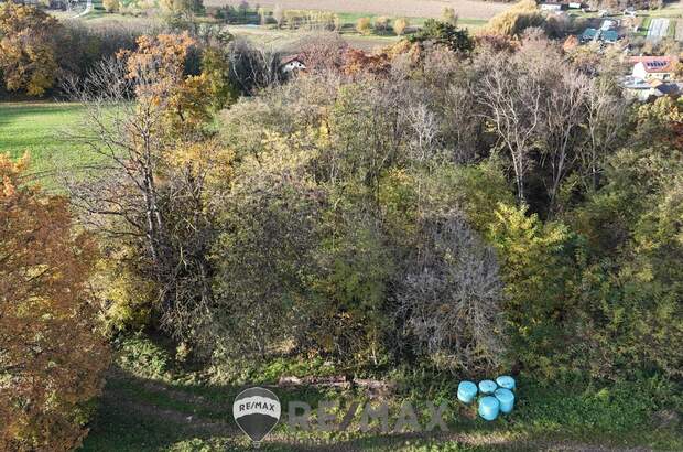 Einfamilienhaus kaufen in 3452 Atzenbrugg (Bild 4)