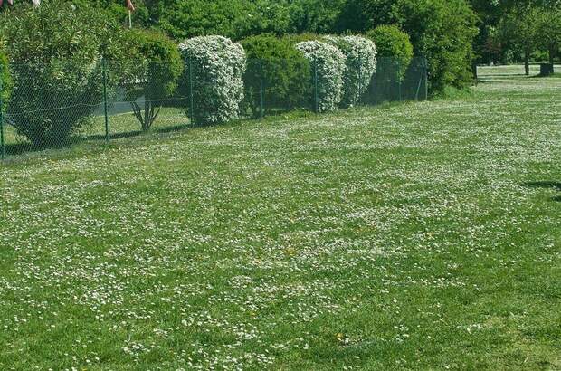 Grundstück kaufen in 3400 Kierling (Bild 2)
