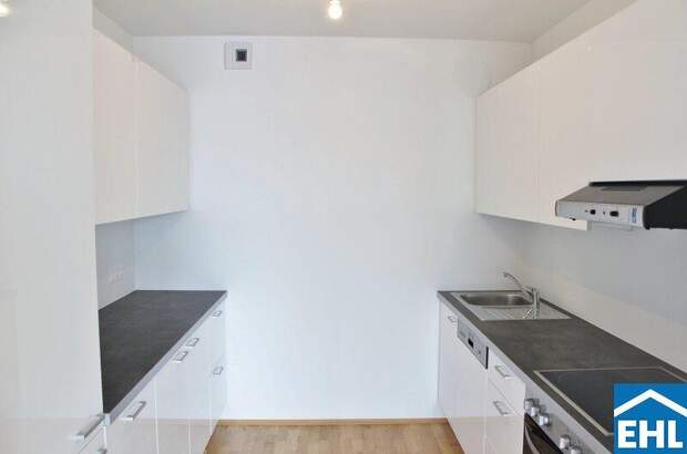 Terrassenwohnung mieten in 1110 Wien (Bild 3)