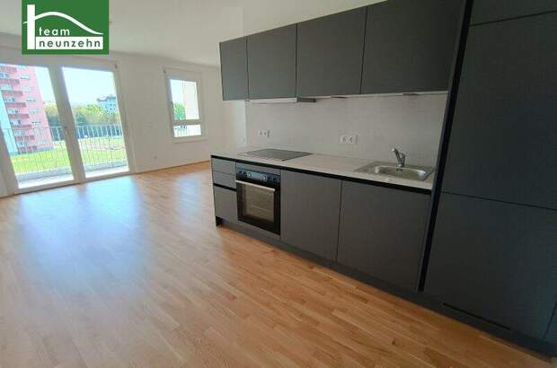 Terrassenwohnung mieten in 3100 St. Pölten (Bild 1)