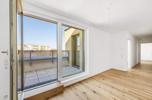 Terrassenwohnung kaufen in 2700 Wr. Neustadt (Bild 3)
