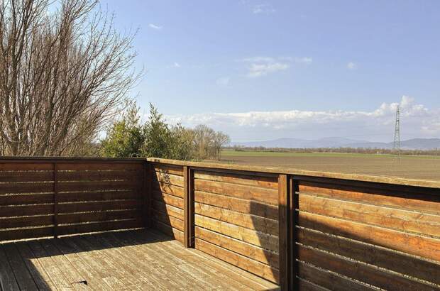 Haus mit Garten kaufen in 2482 Münchendorf (Bild 4)