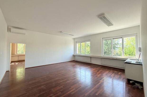 Gewerbeobjekt mieten in 2345 Brunn (Bild 2)