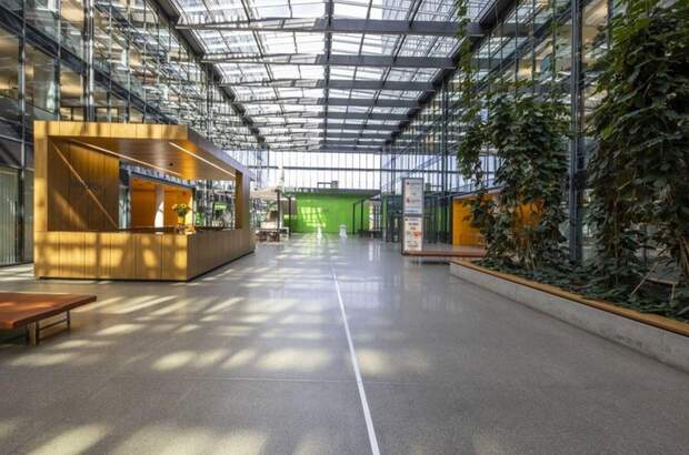 Gewerbeobjekt mieten in 1200 Wien (Bild 4)