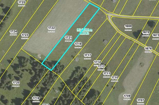 Jagd- und Forstwirtschaft kaufen in 6677 Zöblen
