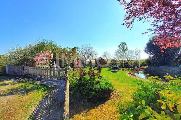 Einfamilienhaus kaufen in 4492 Hofkirchen (Bild 1)