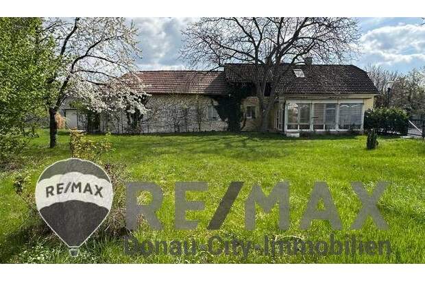 Einfamilienhaus kaufen in 2351 Wr. Neudorf (Bild 2)